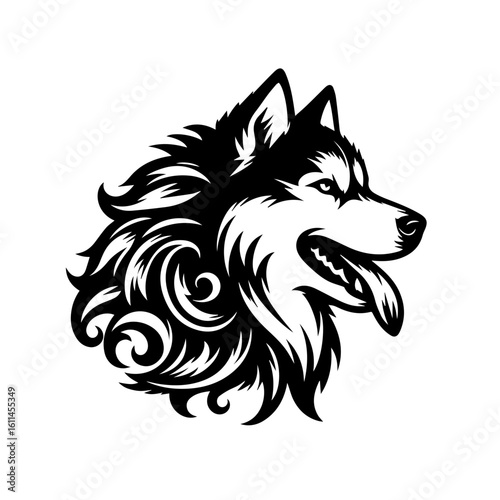black and white dog