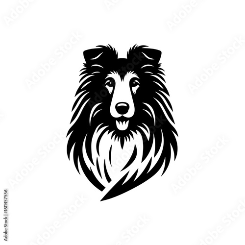 vector image of a lion