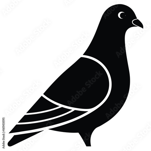 vector illustration of a dove