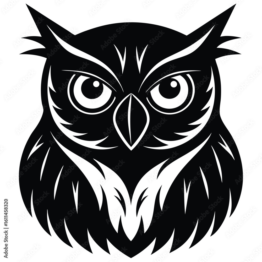 Fototapeta premium owl on white background