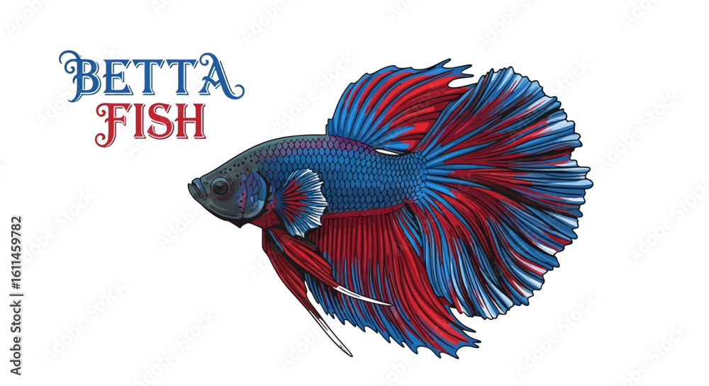 Fototapeta premium Betta Fish Vector Red and Blue Colors.