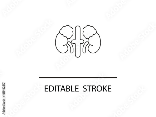 Simple editable stroke illustration of kidneys for medical designs and healthcare applications needing a clear anatomical symbol.