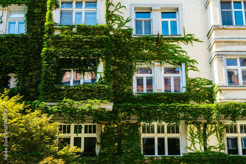 Photography Eine mit Efeu bewachsene Hausfassade eines Mehrfamilienhaus in Bratislava, Slowa