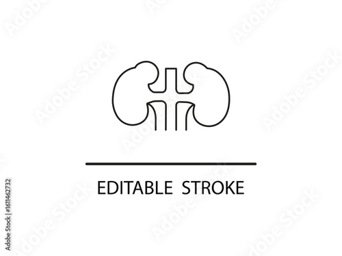 Simple editable stroke illustration of kidneys for medical designs and healthcare applications needing a clear anatomical symbol.