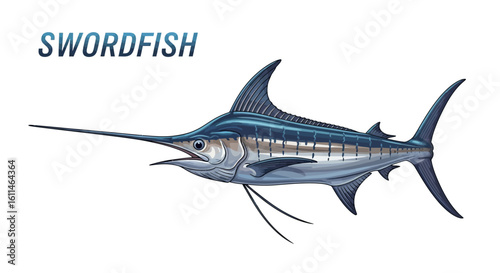 Swordfish Isolated with Ocean Predator, and Vector Illustration.