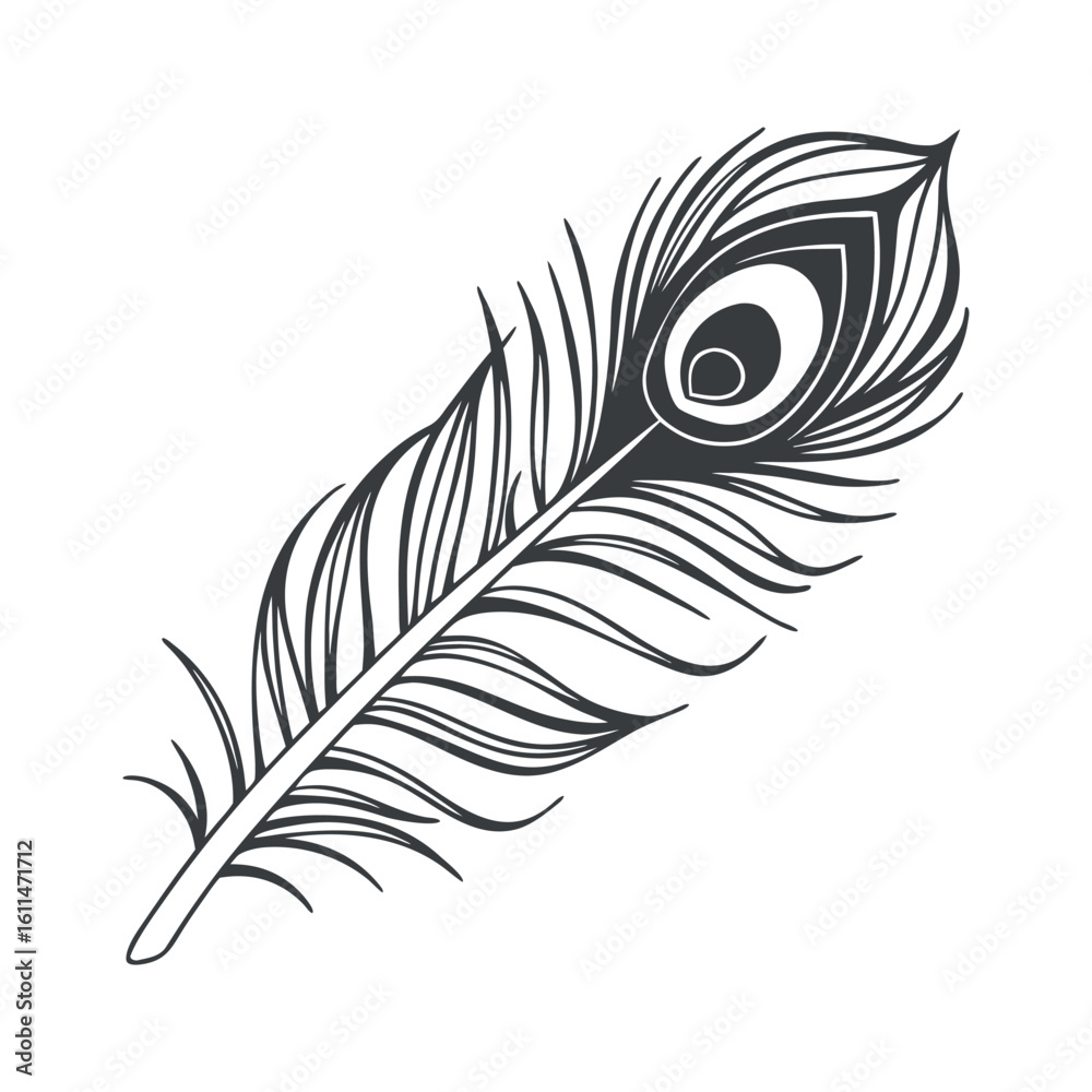 Obraz premium Black and White Peacock Feather Illustration bird feather