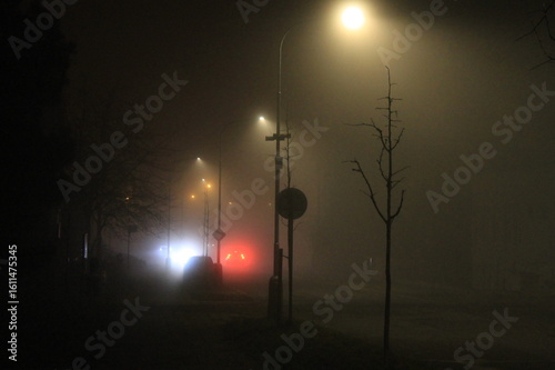 foggy evening in the city