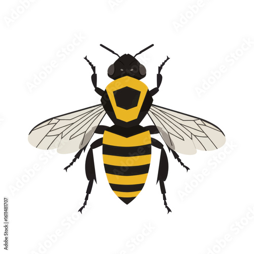Stylized Bee with Geometric Body and Detailed Wings, Top View.