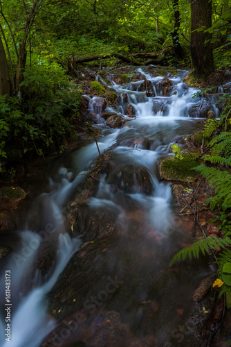 A serene fast water stream flows through the lush forest near Grza vrelo, Serbia.