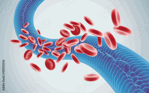Red Blood Cells Flowing Through a Vein Detailed 3D Medical Illustration.