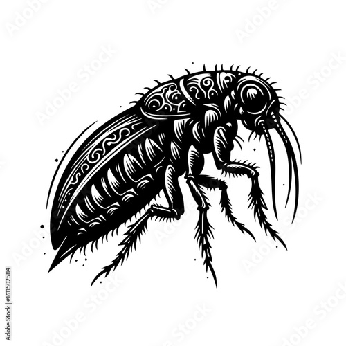 A detailed black and white illustration of a flea