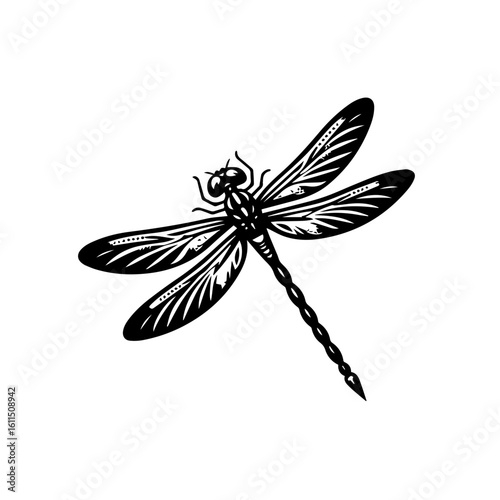 dragonfly on white background