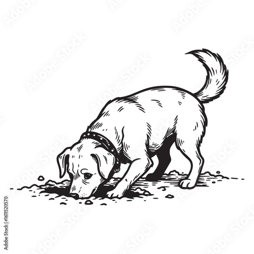 Hand drawn line art of a dog digging in the ground with a curious expression