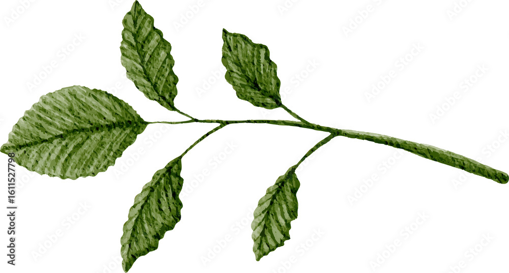 Fototapeta premium watercolor leaf illustration