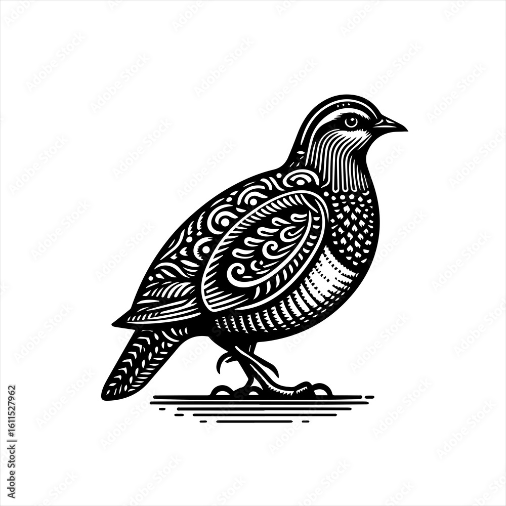 Obraz premium Ornate black and white quail bird illustration
