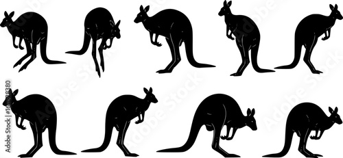 Set of Kangaroo Silhouette Vector in Multiple Dynamic Poses on White Background
