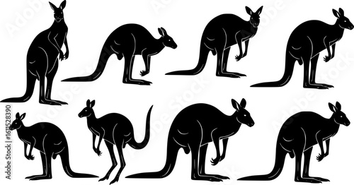 Set of Kangaroo Silhouette Vector in Multiple Dynamic Poses on White Background
