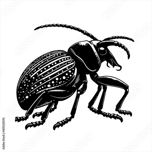 Detailed black and white illustration of a scarab beetle