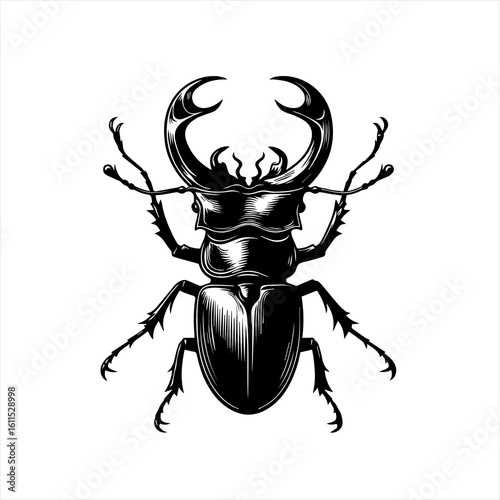 Detailed black and white illustration of a stag beetle