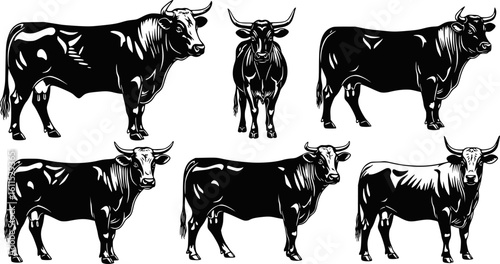 Cow and Bull Silhouette Vector Set of Diverse Cattle Breeds for Farm and Ranch Branding
