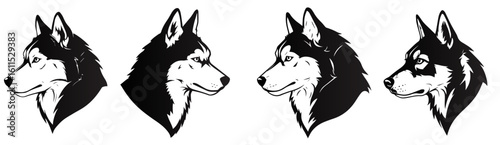 Four Dark Grey Wolf Heads in Profile Facing Right on a White Background animal canine
