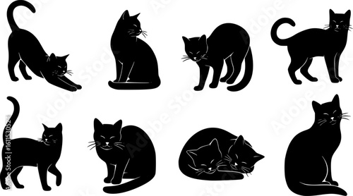 Cat Silhouettes Set - Black Cat Vector Icons on White Background
