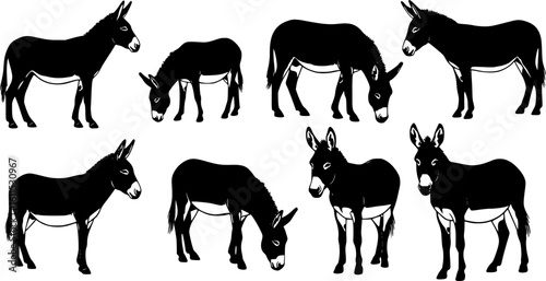 Black Donkey Silhouettes Set - Vector Illustration
