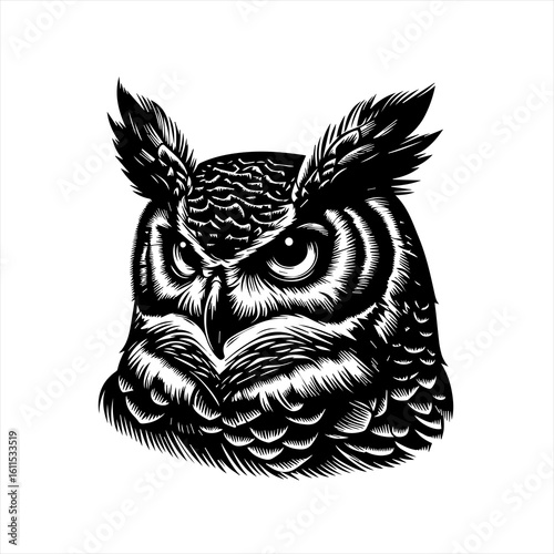 Detailed black and white illustration of an owl s face