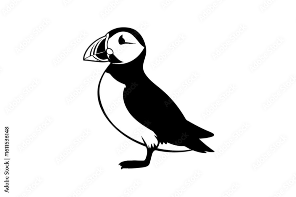 Fototapeta premium Atlantic Puffin Standing Profile seabird bird