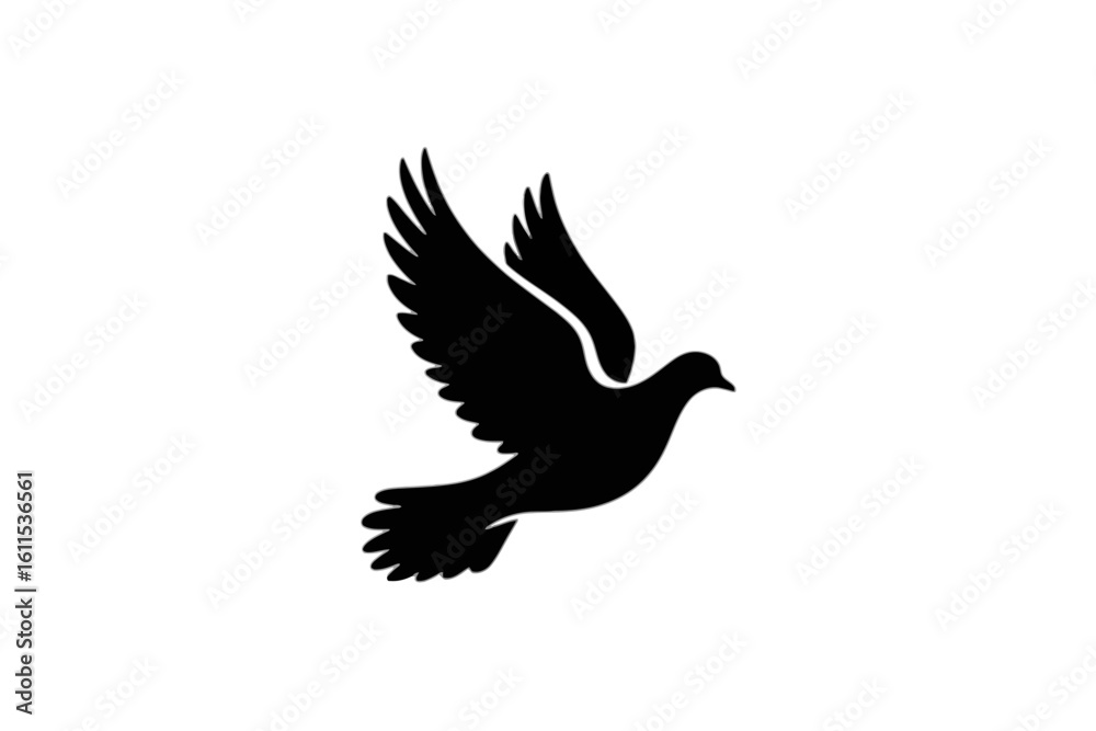 Obraz premium Dove in flight bird flying