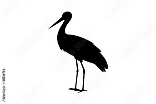 Elegant Stork Standing Still bird silhouette
