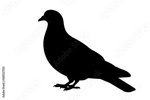 Golden Retriever Dog Silhouette animal canine