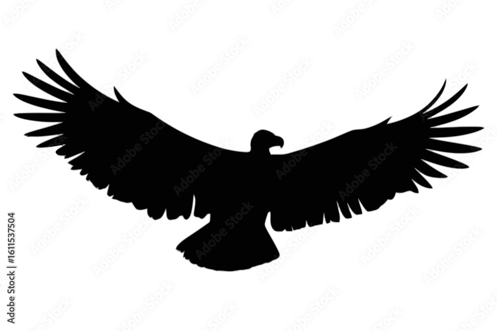 Obraz premium Majestic Eagle in Flight bird flying