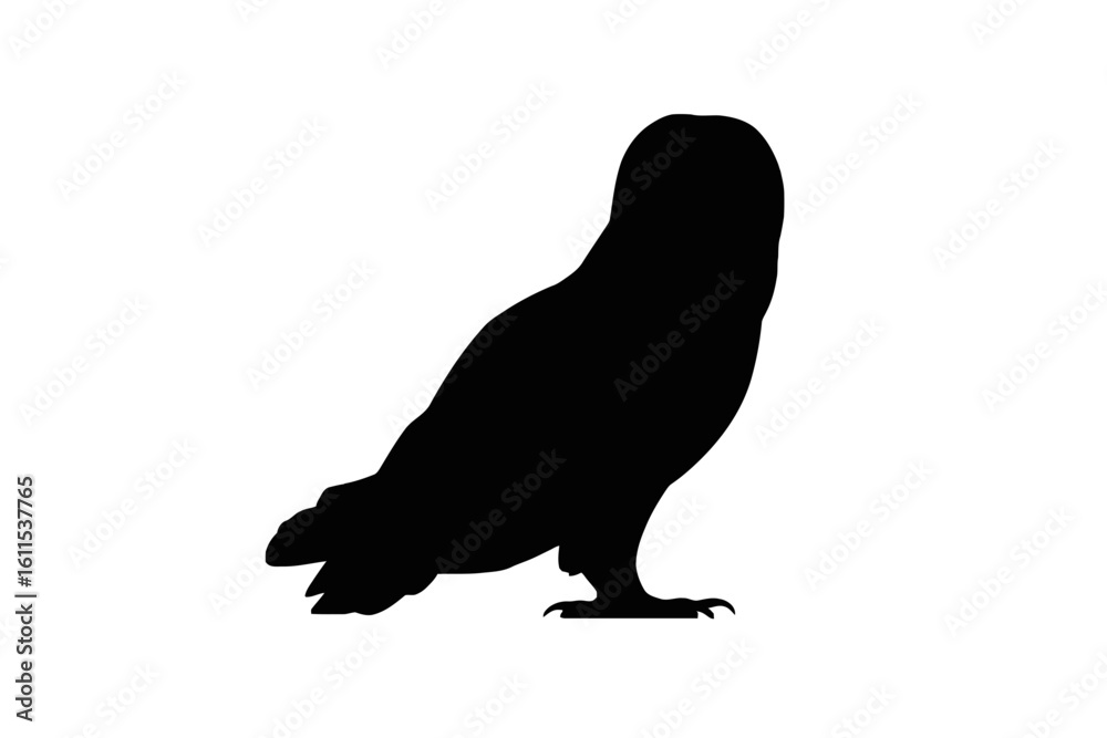 Fototapeta premium Majestic Owl Silhouette bird nocturnal