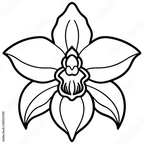 Orchid Blossom Line Art