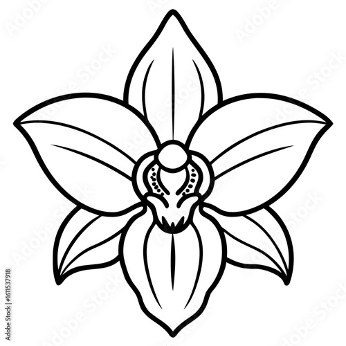 Orchid Blossom Line Art