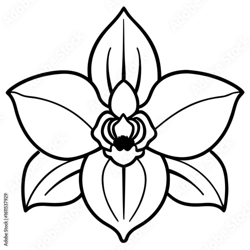 Orchid Blossom Line Art