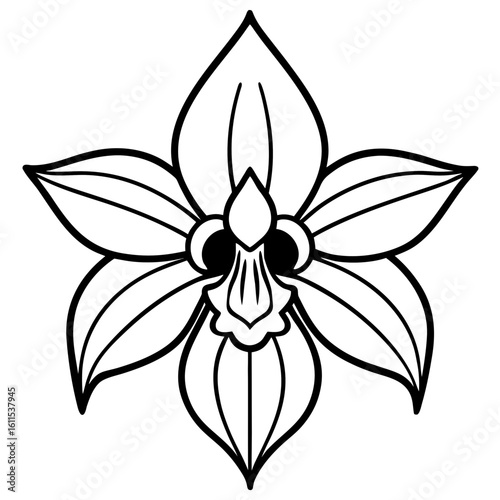 Orchid Blossom Line Art