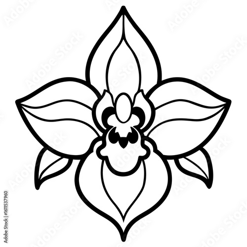 Orchid Blossom Line Art