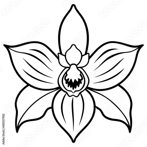 Orchid Blossom Line Art