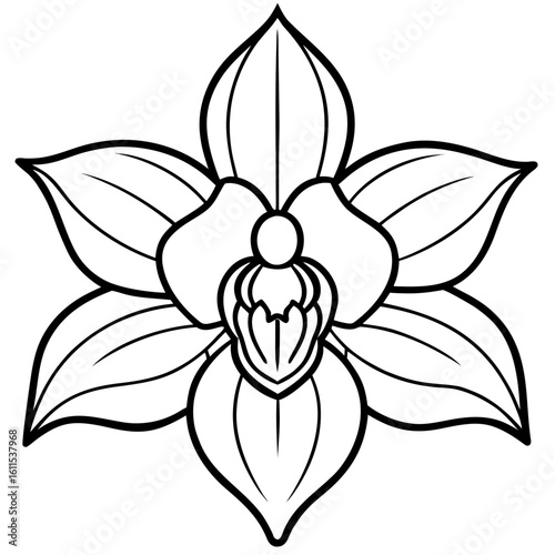 Orchid Blossom Line Art