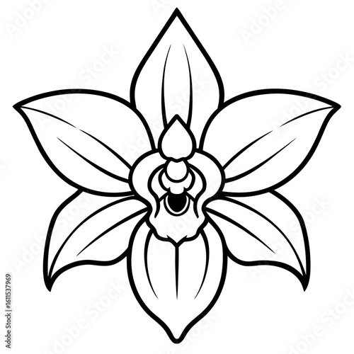 Orchid Blossom Line Art