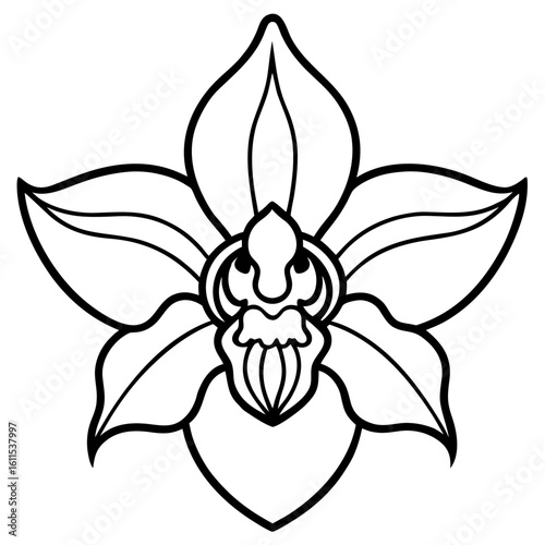 Orchid Blossom Line Art