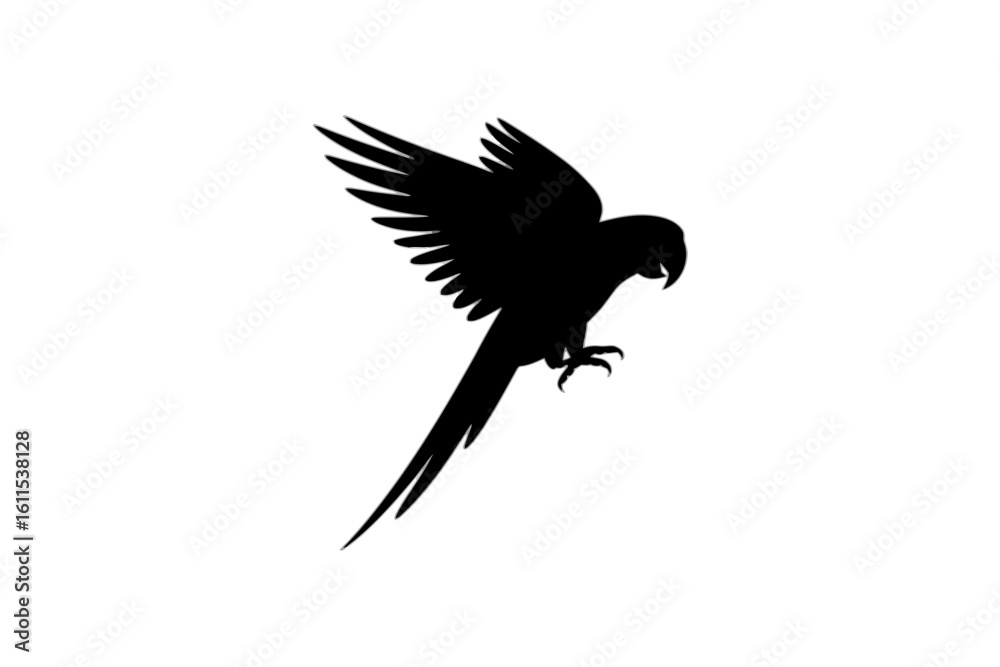 Fototapeta premium Parrot in flight bird flying