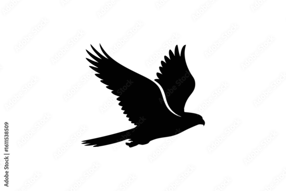 Fototapeta premium Soaring Bird of Prey Silhouette falcon hawk