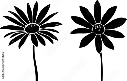  Daisy Flower Silhouette Illustration