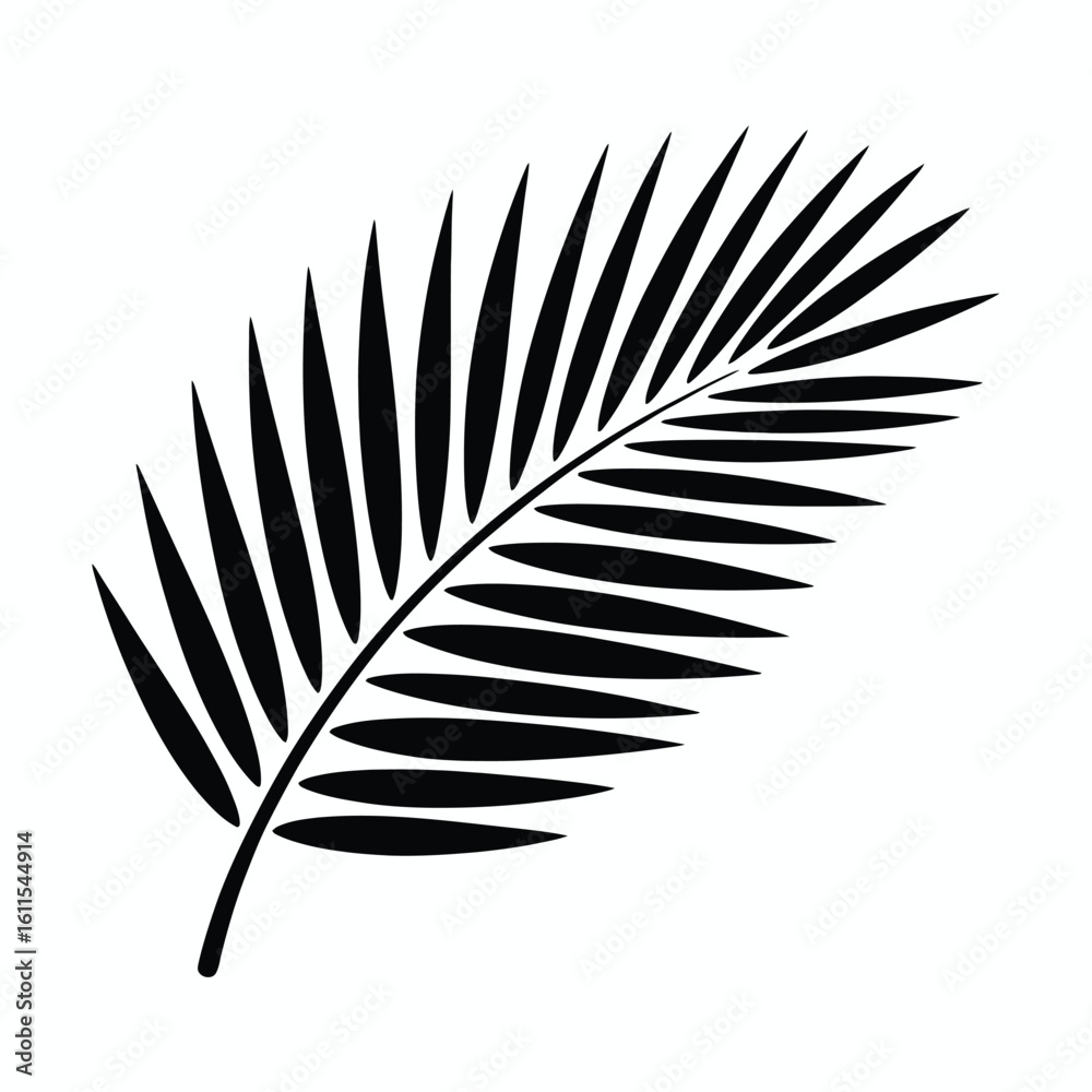 Fototapeta premium Black Palm Leaf Silhouette on White Background vector