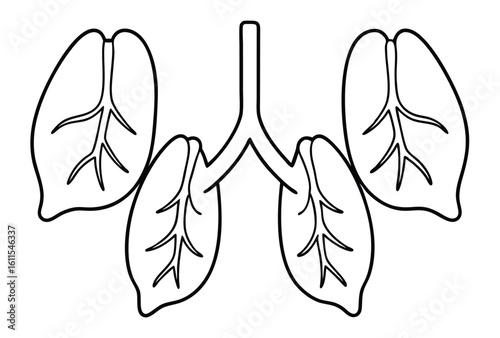 Lungs line art clear mindful breathing