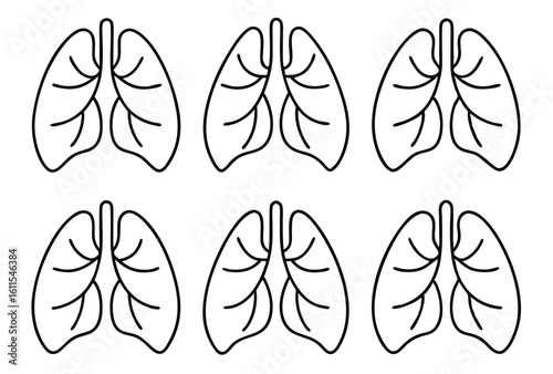 Lungs line art anatomy beauty revealed