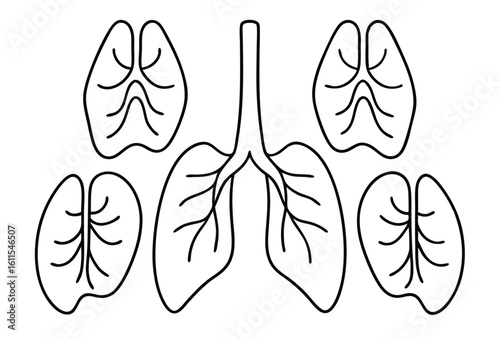 Lungs line art vital organ strength